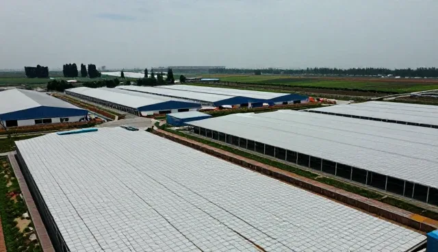局部改造在家居升级中的实用性价值提升